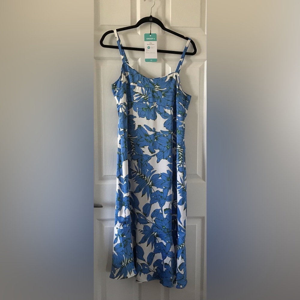 CAbi Botanical Dress